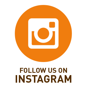 doppio social media icons instagram